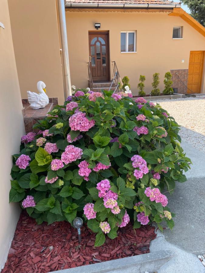 Törpi Vendégház Halmaj Exterior foto